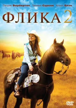 Флика 2 (сериал 2010)
