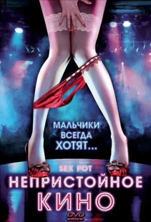 Непристойное кино (сериал 2009)