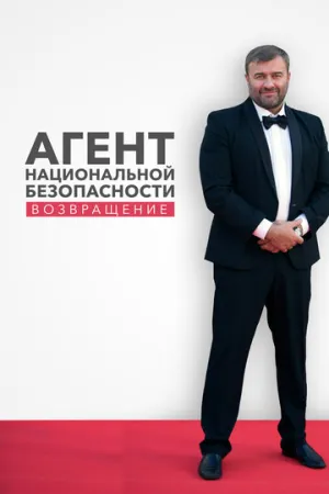 Агент национальной безопасности. Возвращение (сериал 2019)