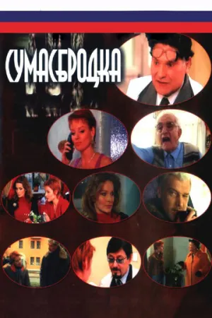 Сумасбродка (сериал 2005)