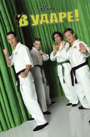 В ударе (сериал 2011)