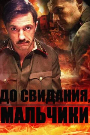 До свидания, мальчики (сериал 2014)
