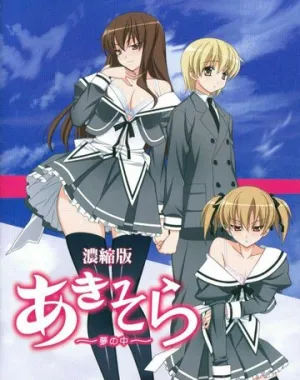 Аки и Сора 2 (сериал 2010)