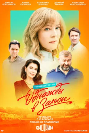 Однажды в Залесье (сериал 2025)